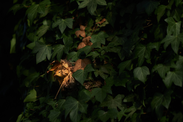 Fine Art photography Brussels