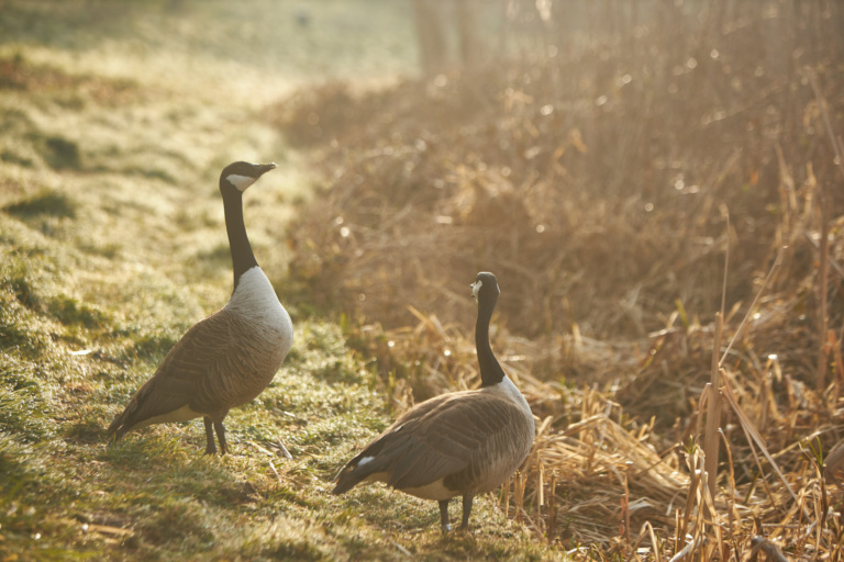 Fine Art photography Brussels