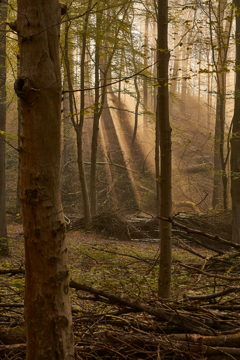 Fine Art photography Brussels