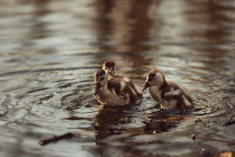 Fine Art photography Brussels