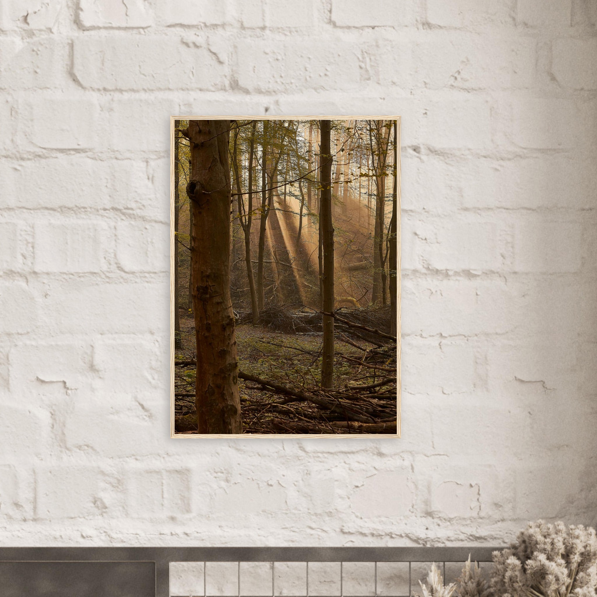 007a1be4-f038-4a74-b3e9-339981ea1284