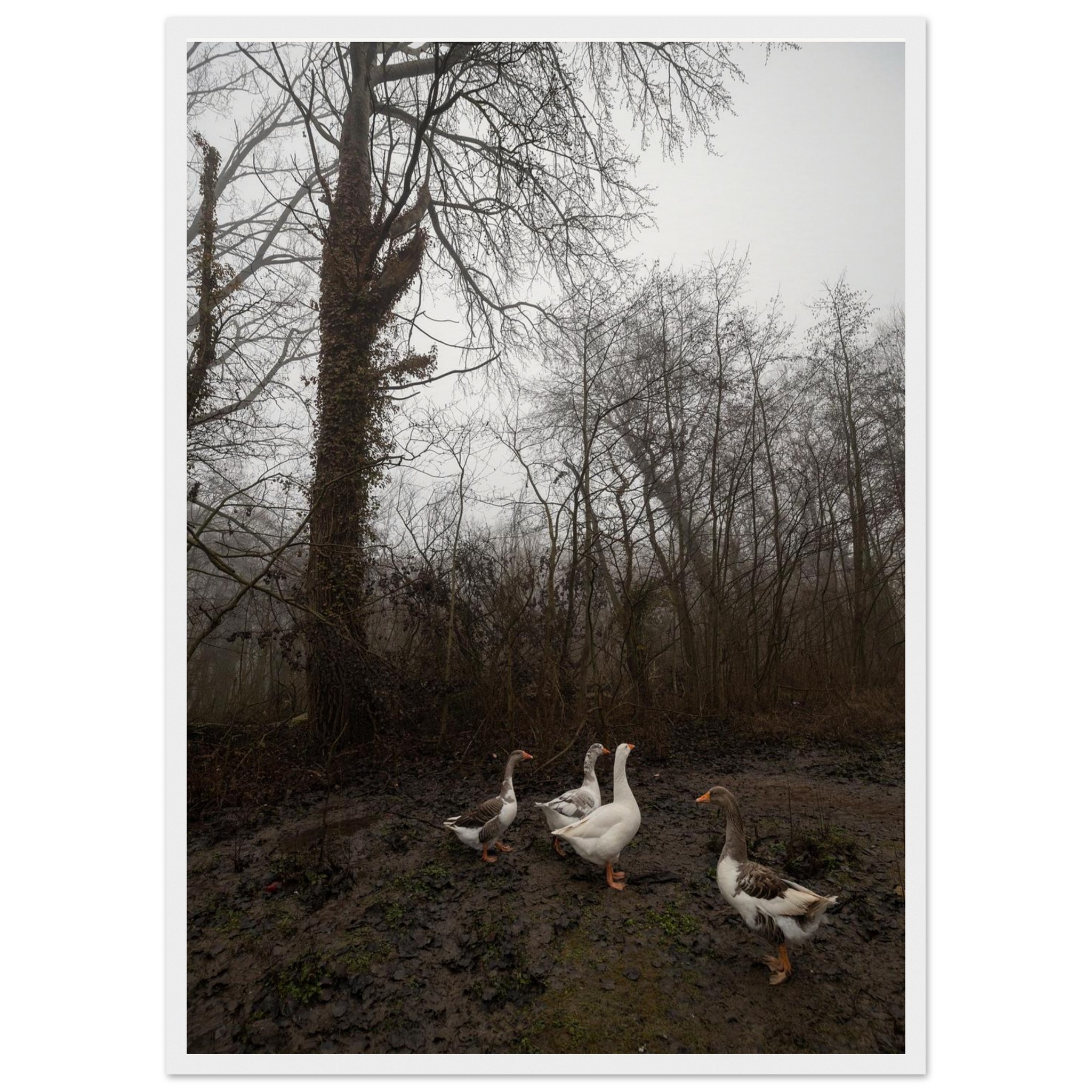 1710e82b-9680-4156-98e1-0af45643b908