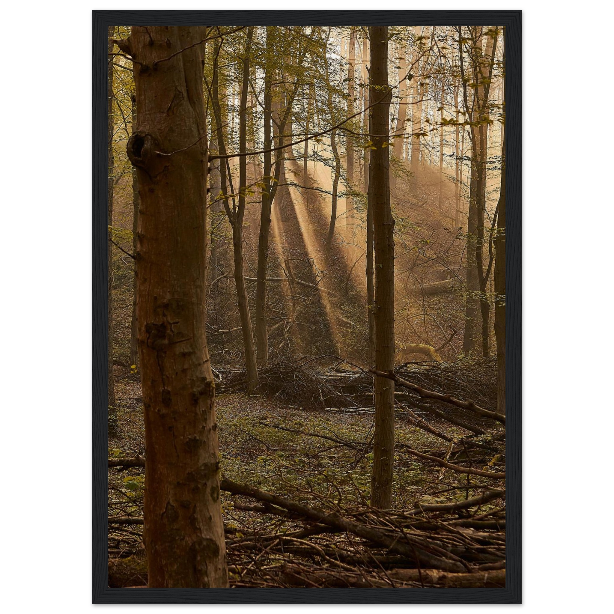 21b2d0d5-38d2-4a33-9c24-75d2489b58ff