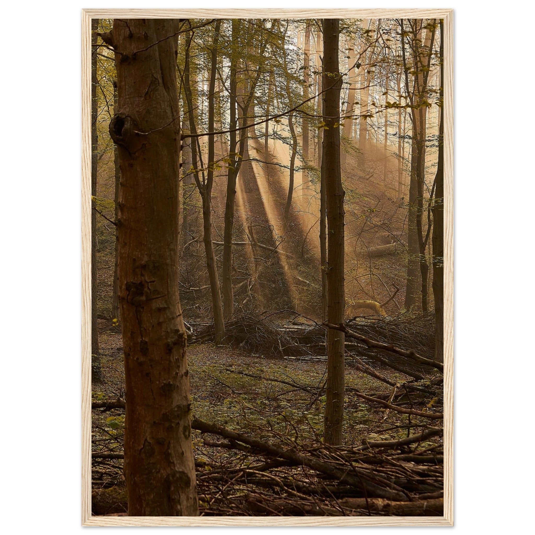 2e0f2c96-e9d2-4d9e-876f-5d18c43f7ae0