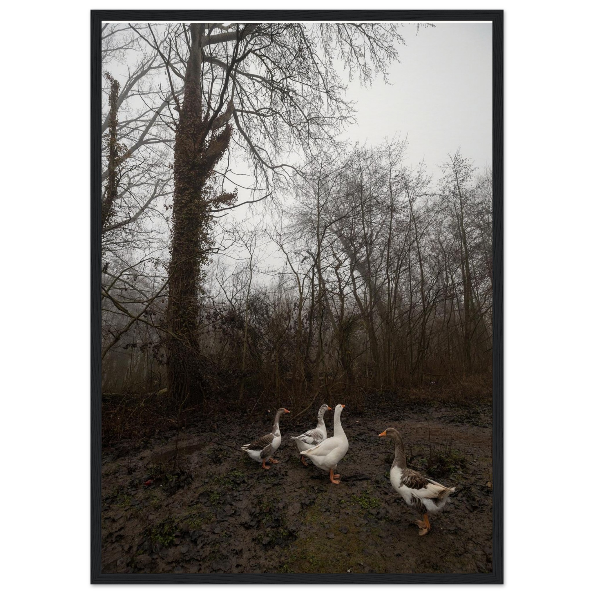 35b79bf1-1a4b-4f62-8593-7f7f44eb1b23