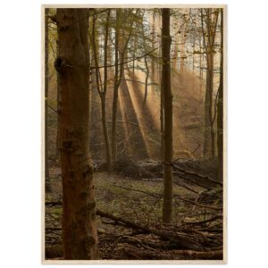 « Rayons » Poster qualité musée en papier mat encadré en bois