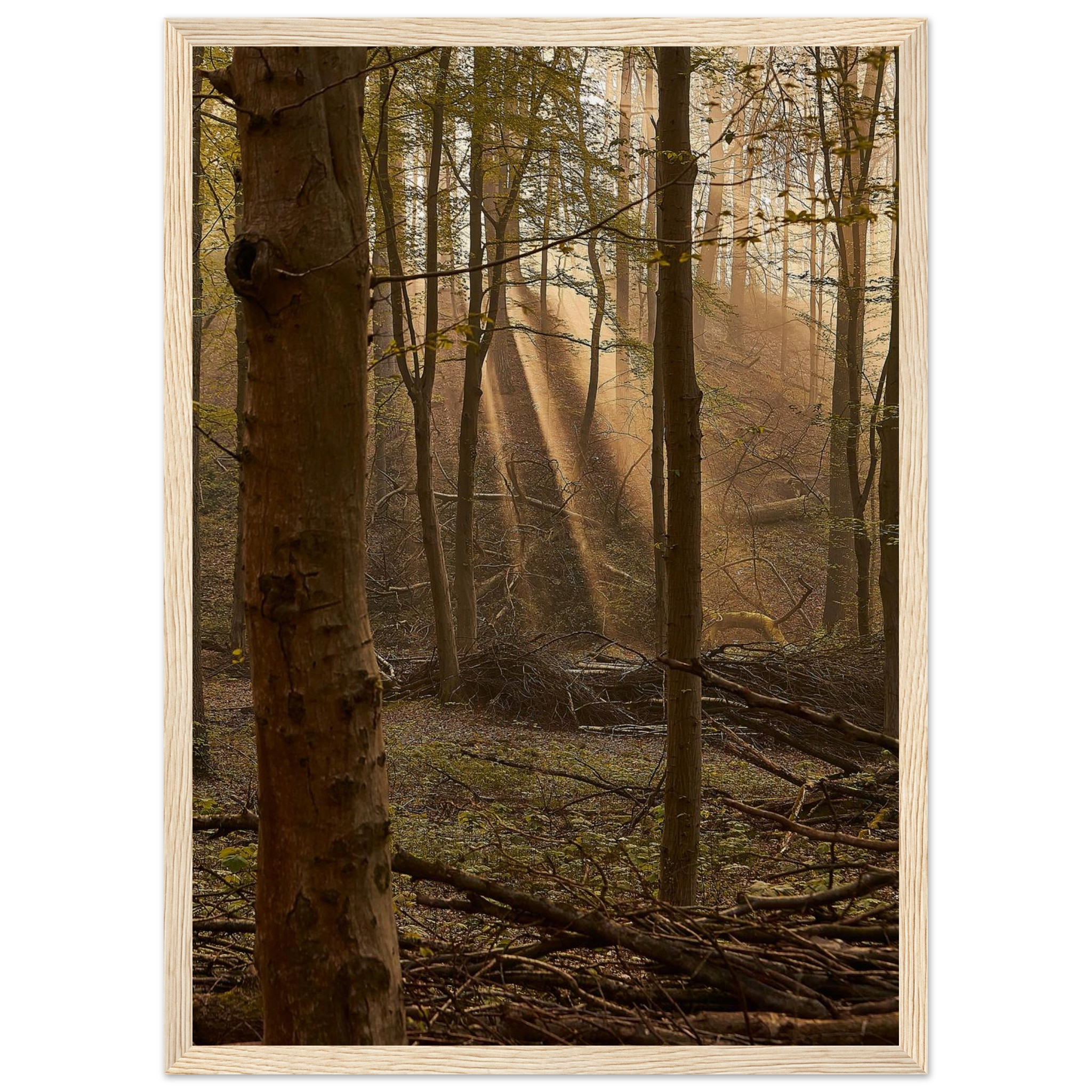 3f4a4f2c-dc66-4e8e-a754-1c6e47ef4312