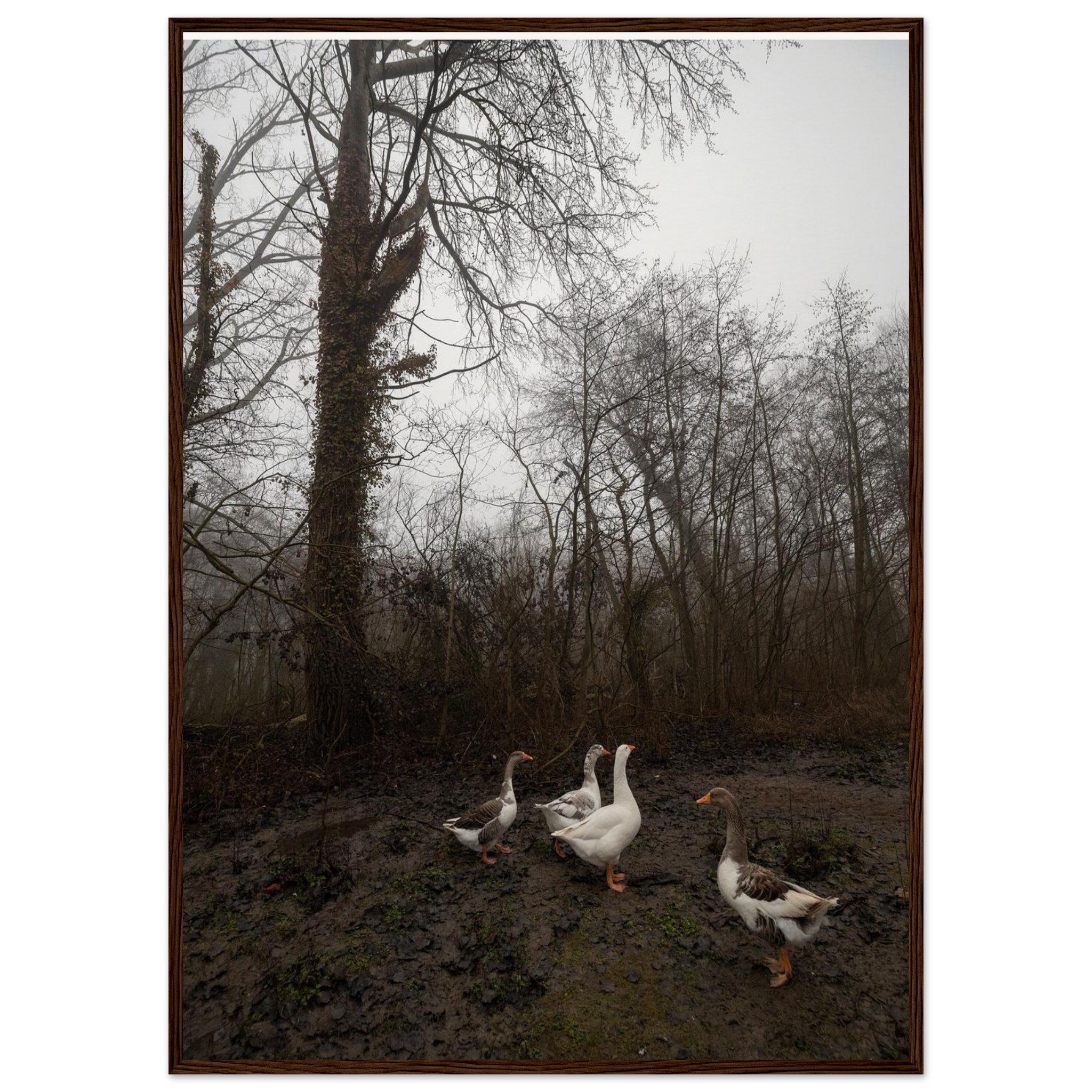 44a05fef-488b-4335-af70-4a5128f95982