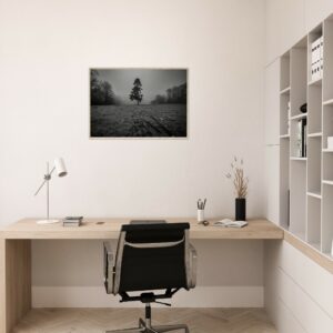 « Seul » Tirages numérotés et signés