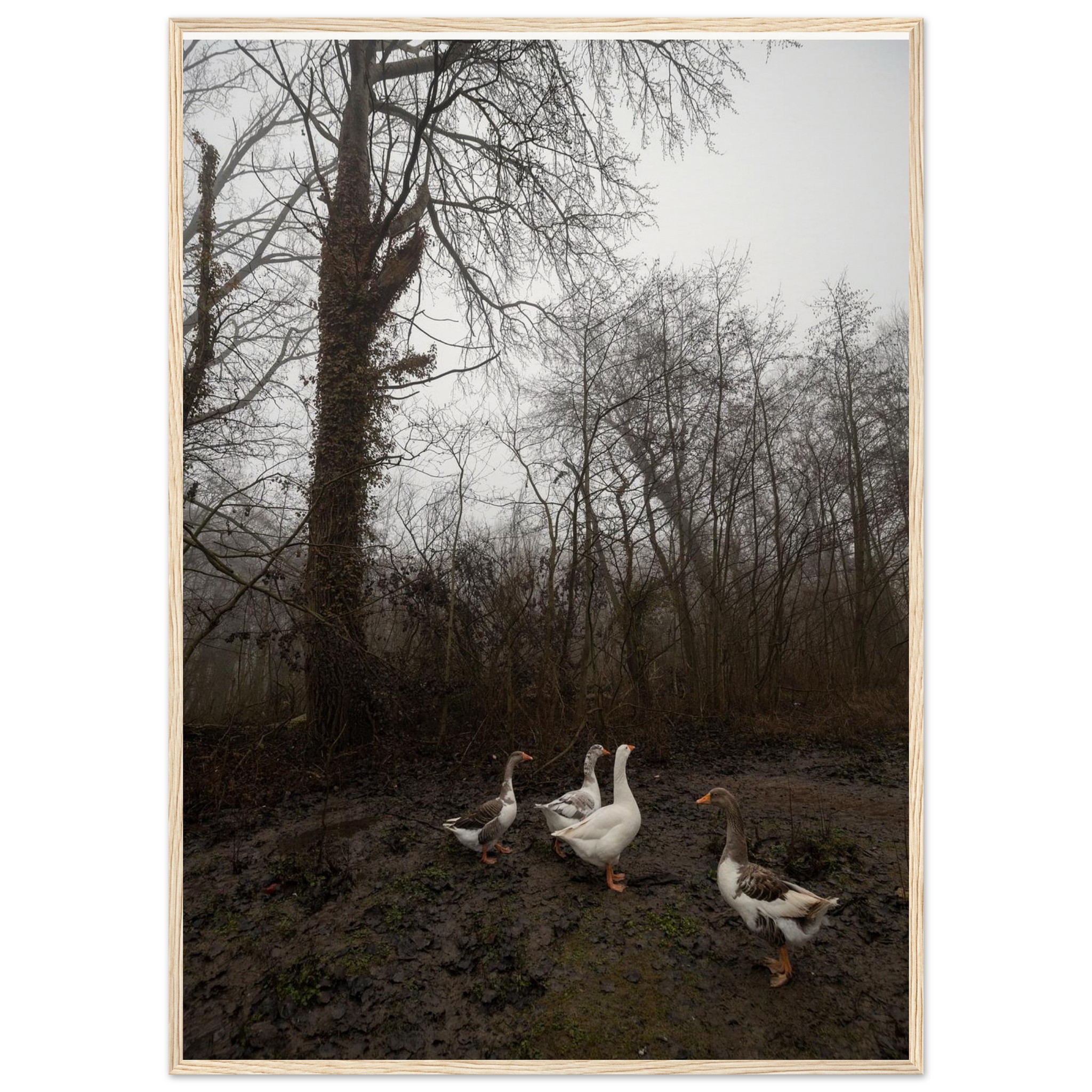 58cbd6fa-8e6c-4d86-b73b-22030f8aaa6a