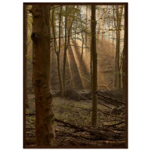 « Rayons » Poster qualité musée en papier mat encadré en bois