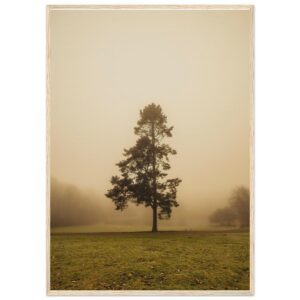 « Aubel » Poster qualité musée en papier mat encadré en bois