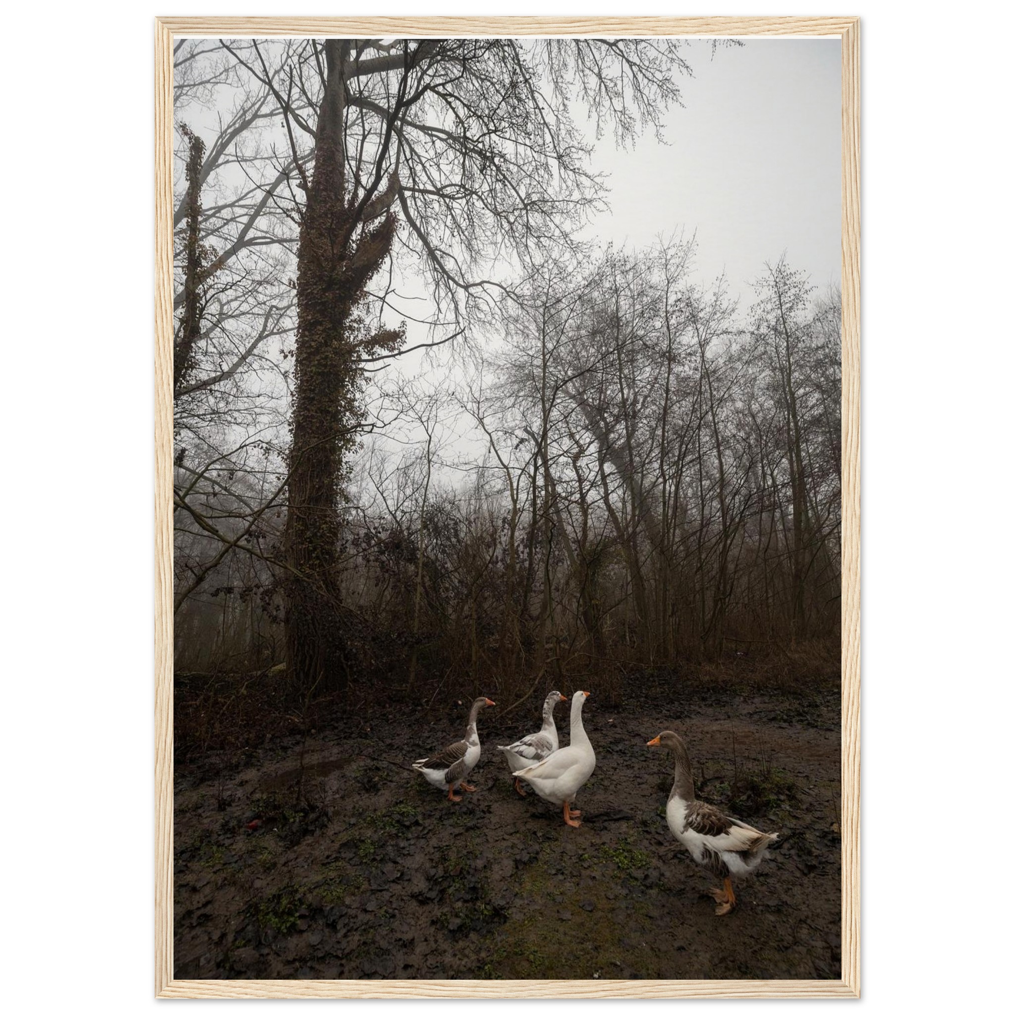 62081897-9f90-421c-8107-301e03ae93eb