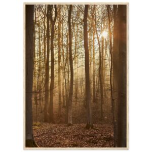 « Sous-bois » Poster qualité musée en papier mat encadré en bois