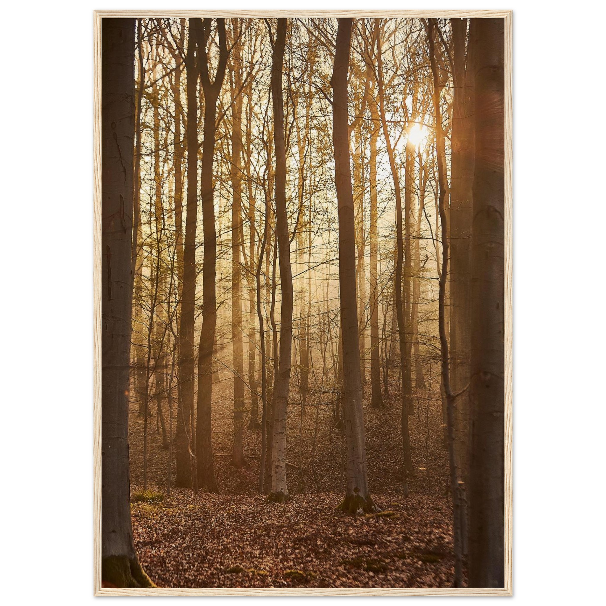 6a7e9e0d-9f0b-4531-8f81-d0b234923190