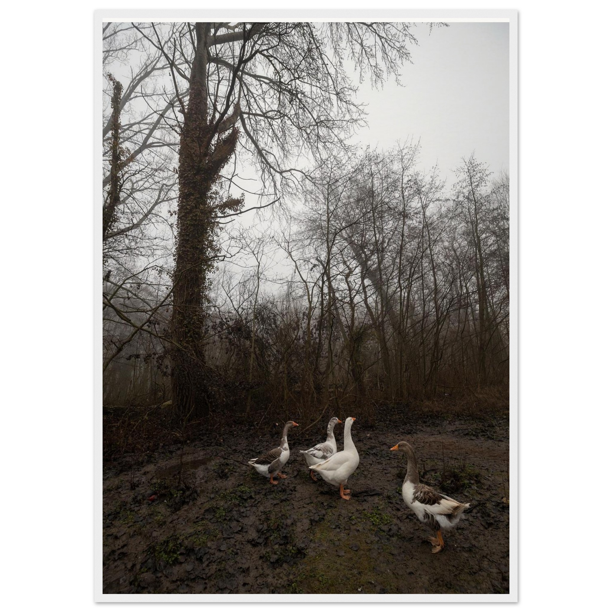 7f202e90-179e-4a6e-bea0-5fe9b005083f