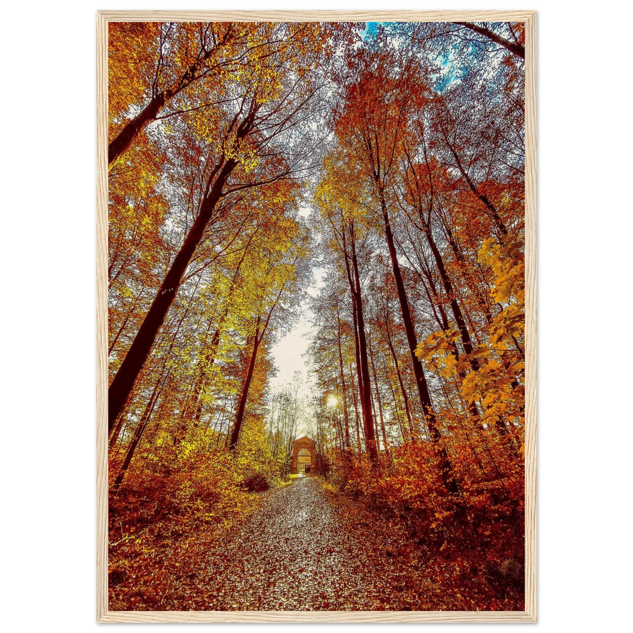 878d0111-ab57-4153-a308-ee88eaa45edb