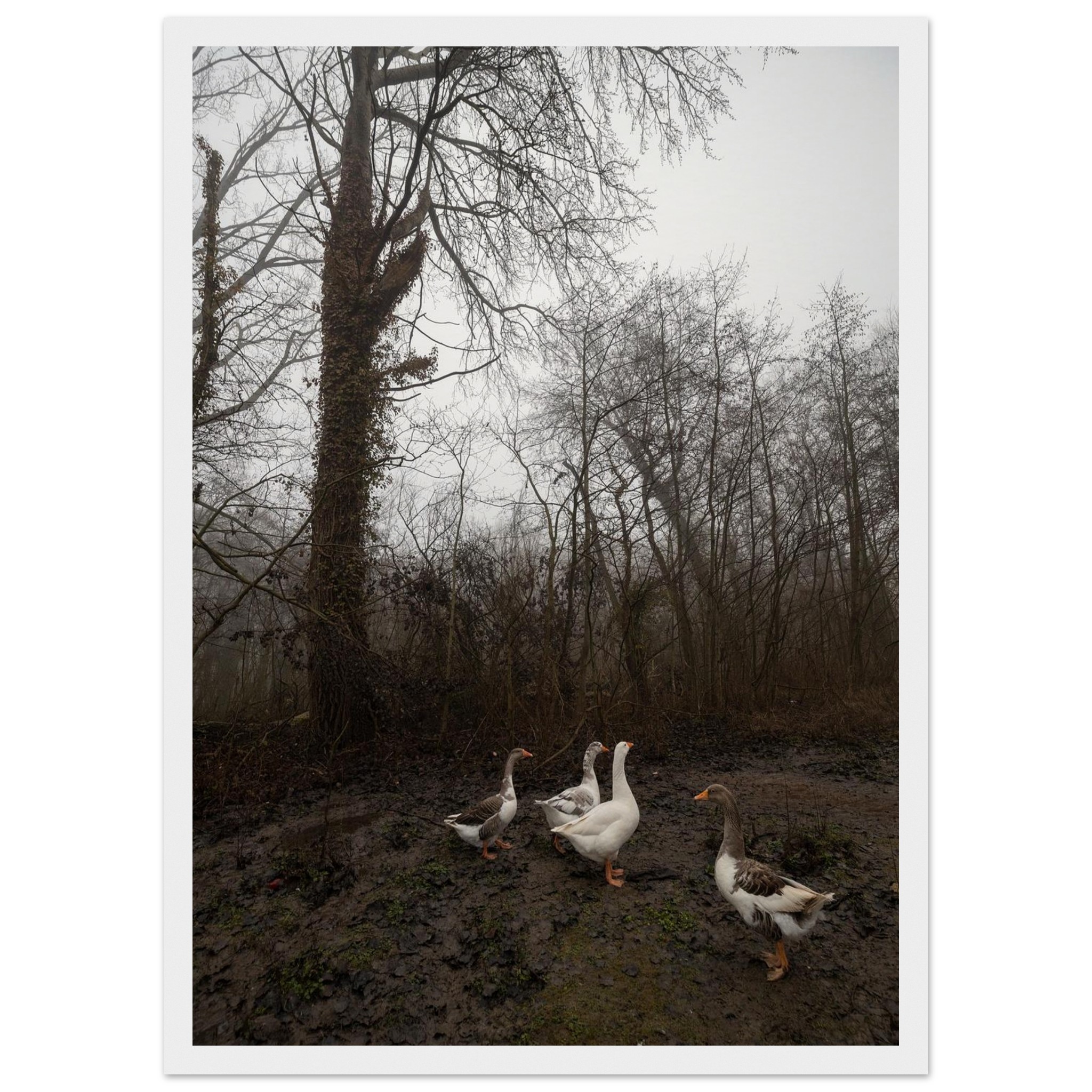 88db1b8f-fef7-409b-b6dd-cd60891615e4