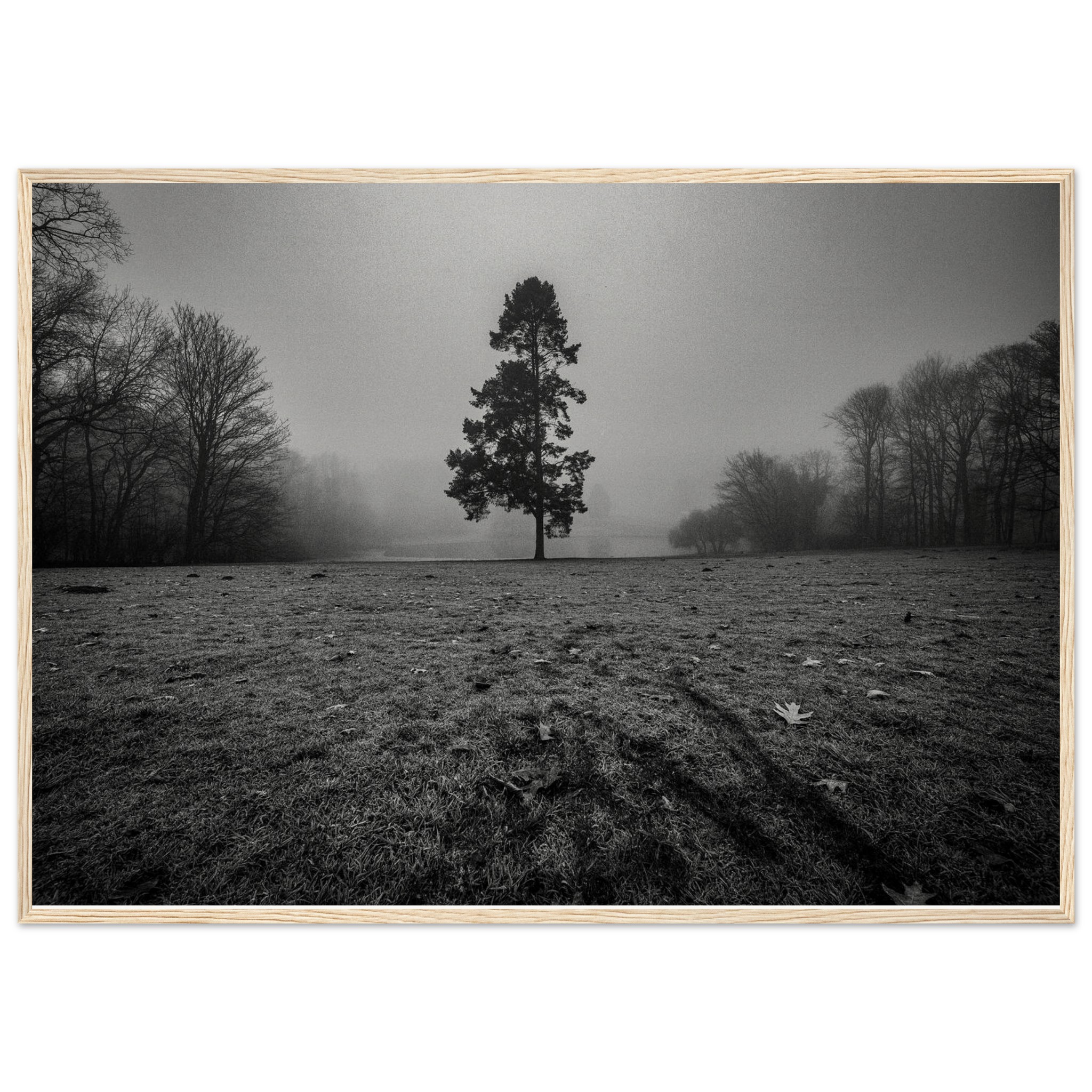 8edf4d09-0b86-4419-8d6b-7a3e6a183bfd