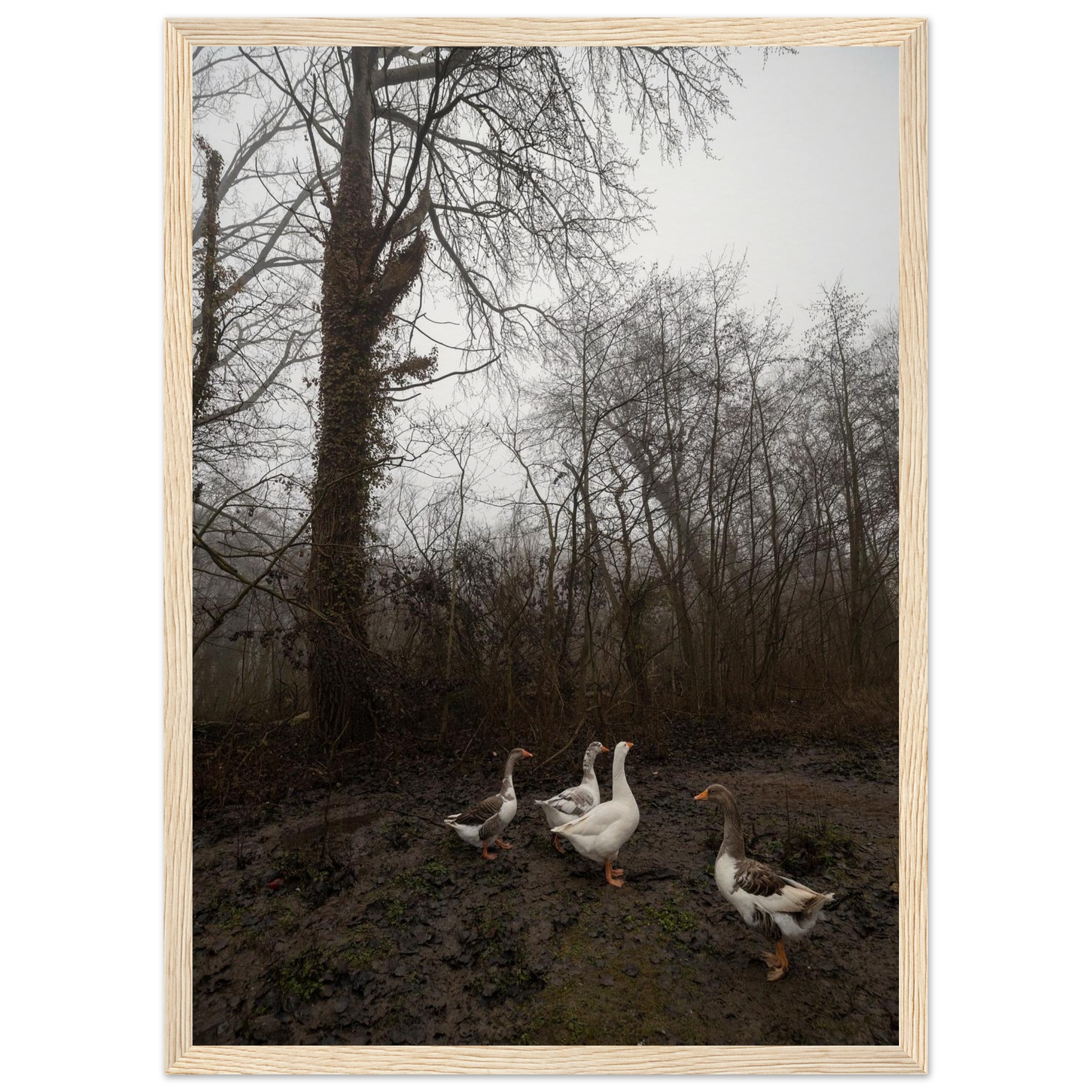 91318d71-439a-4e53-93e0-2e9f600cfd90