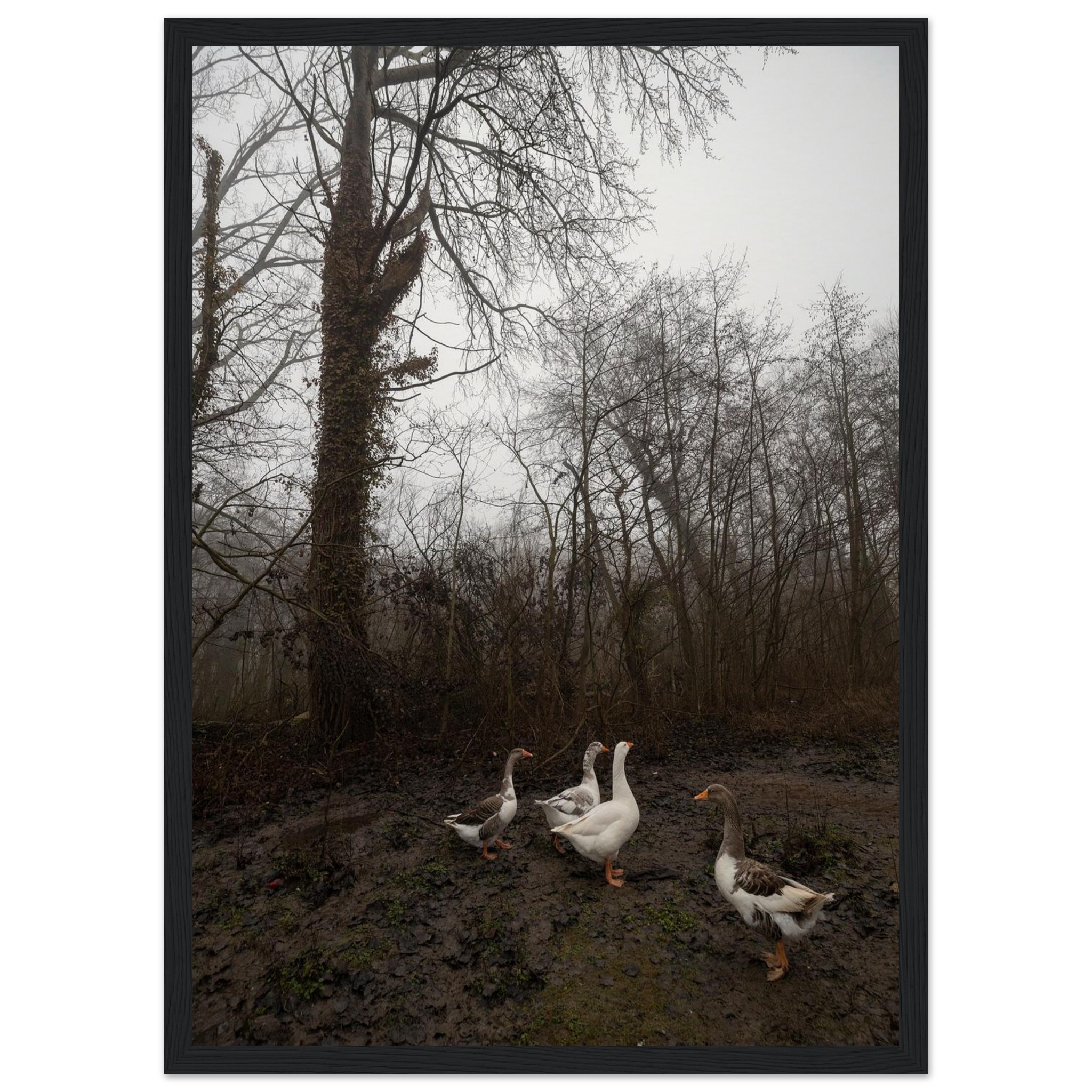 a217f1d1-e031-4da6-a510-dbd905879076