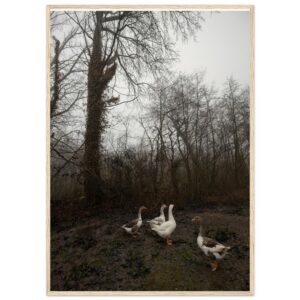 « Brumes familières » Poster qualité musée en papier mat encadré en bois