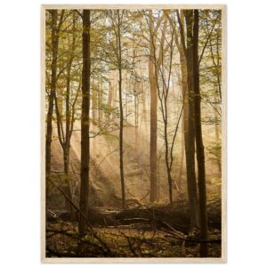 « Clairière » Poster qualité musée en papier mat encadré en bois