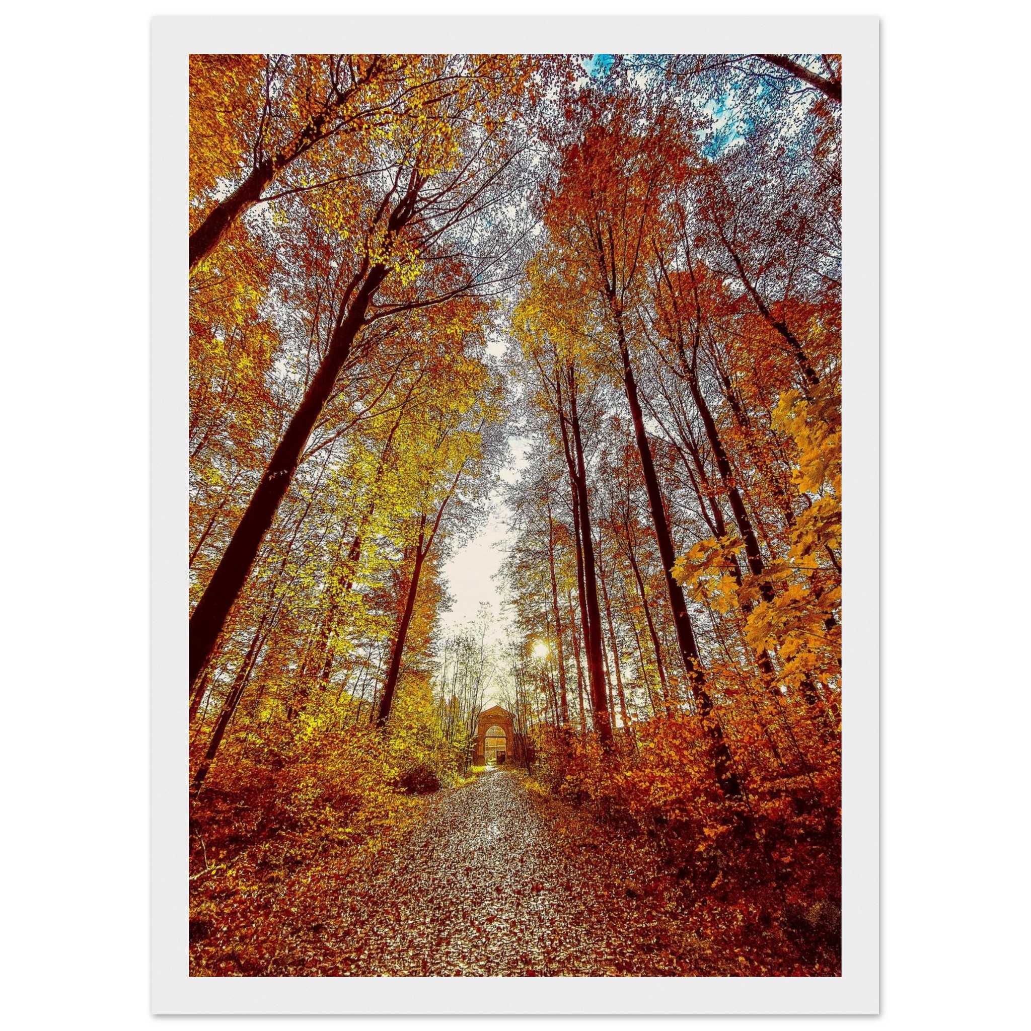 b376db9d-8e4b-4ce7-aca4-4b959c118914