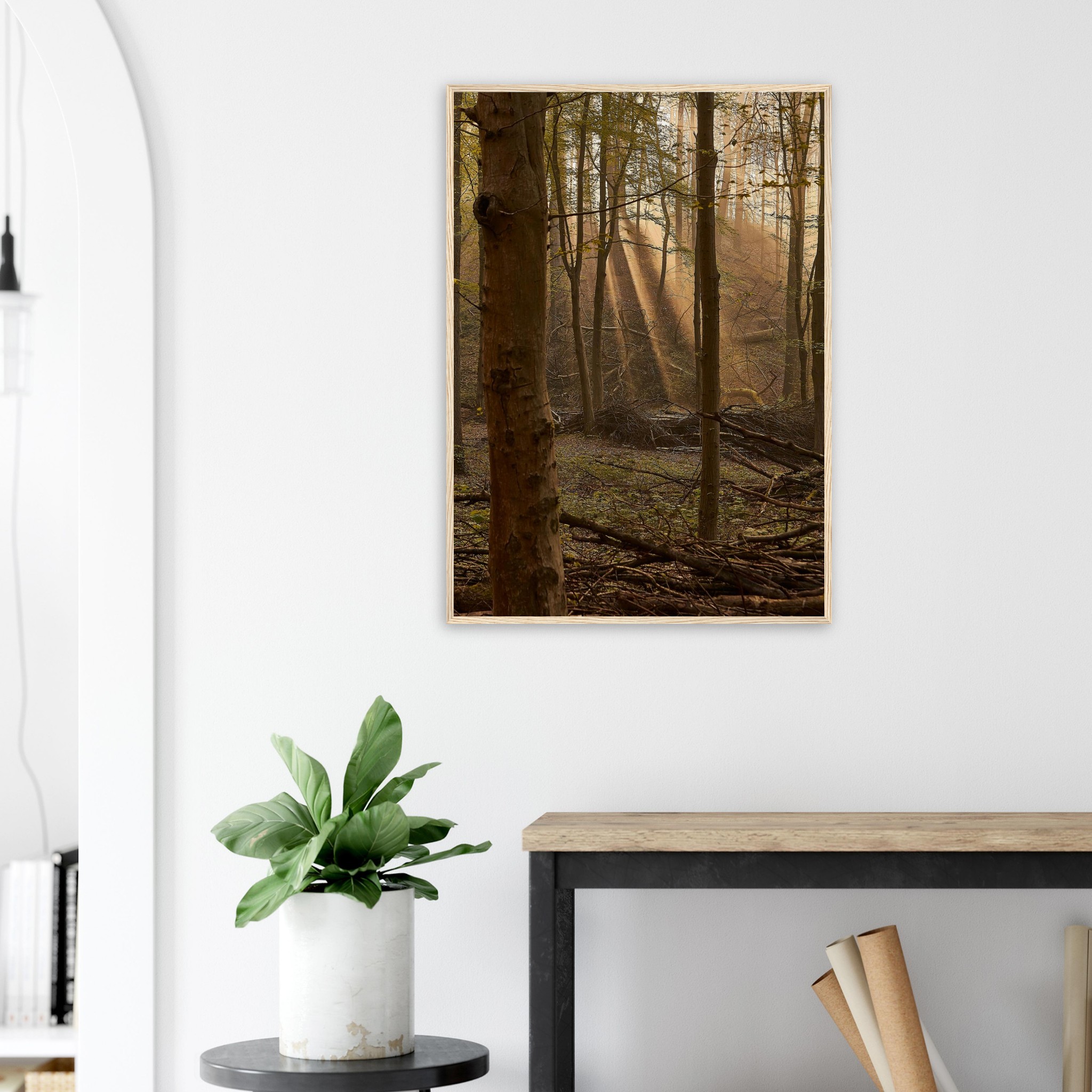 b911a498-d50d-4afa-acd5-3e762e44f57b