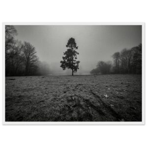 « Seul » Poster qualité musée en papier mat encadré en bois