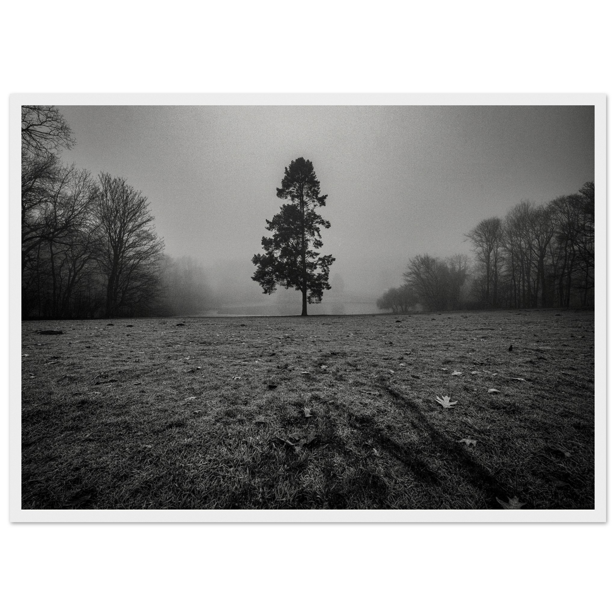 bb93bd13-8394-4e84-89ce-288e59aac356