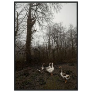 « Brumes familières » Poster qualité musée en papier mat encadré en bois