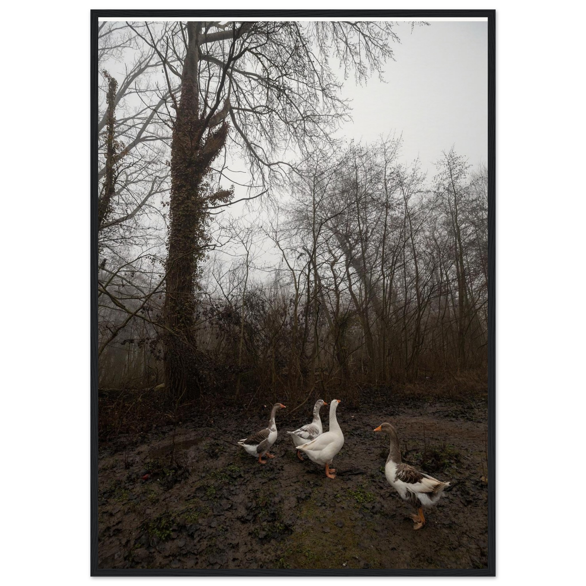 bbd3c9b3-ea45-405e-af07-5f5e444a4c48