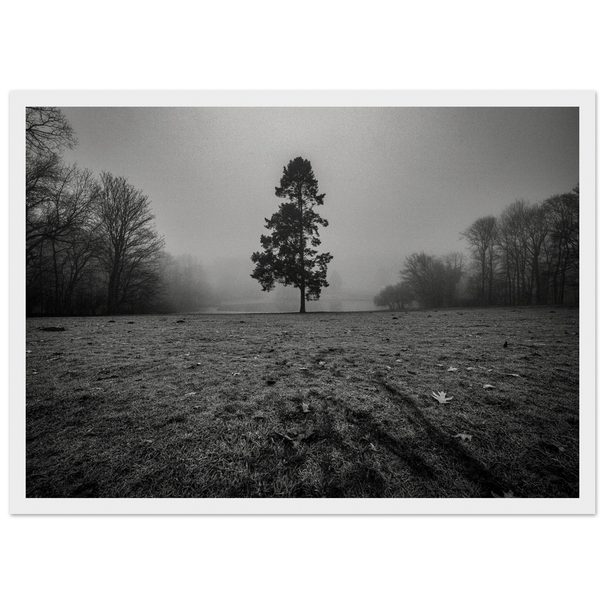 c2a1f900-5249-462a-ae34-66dfa608db96