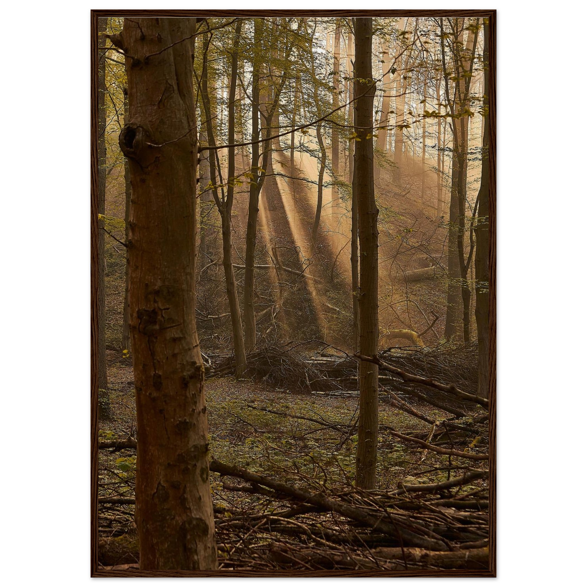 c430d43e-b145-4f82-af89-47b63c9a3ec6