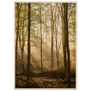 « Clairière » Poster qualité musée en papier mat encadré en bois