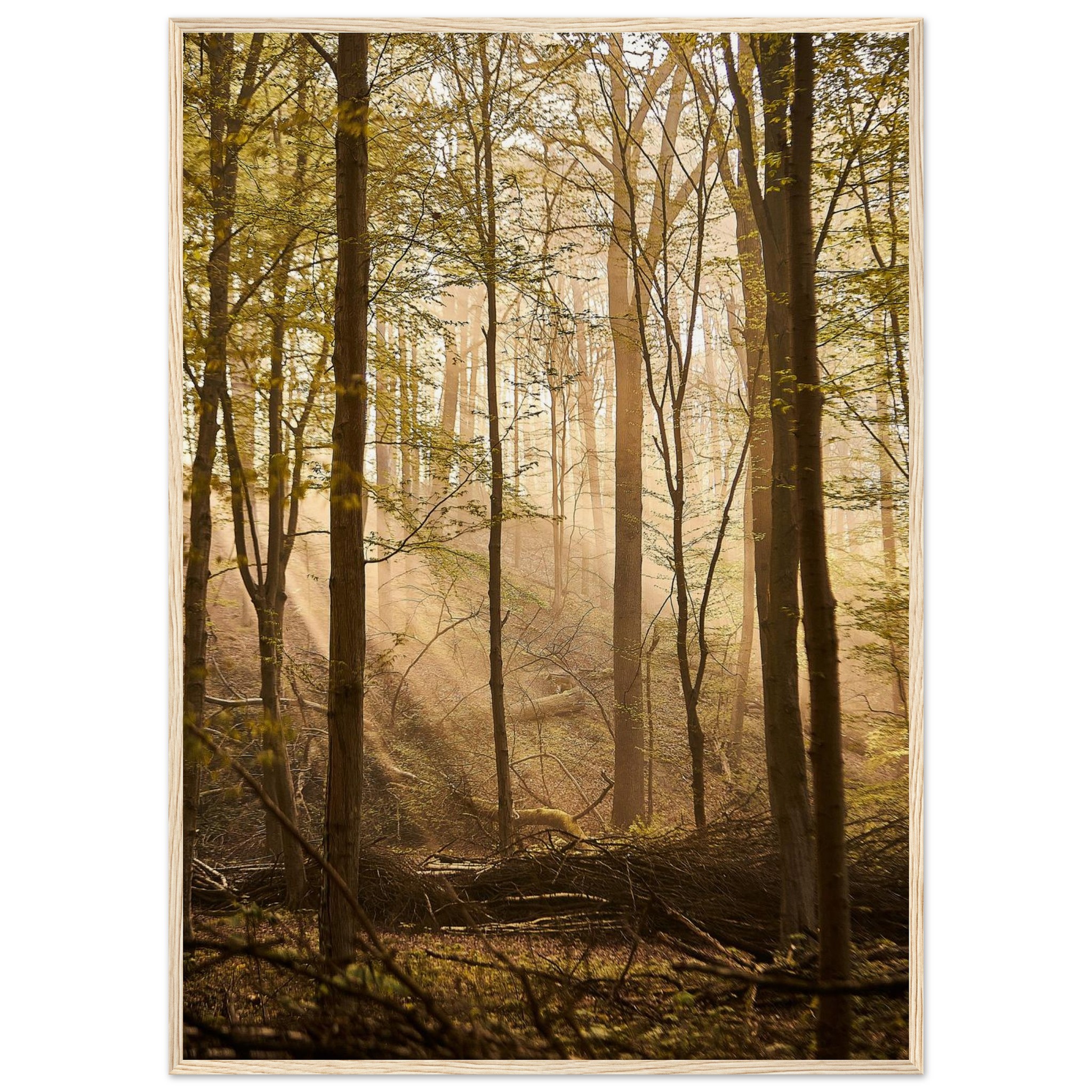 c81fb013-e4b7-43d0-86d5-4f533108c1e5