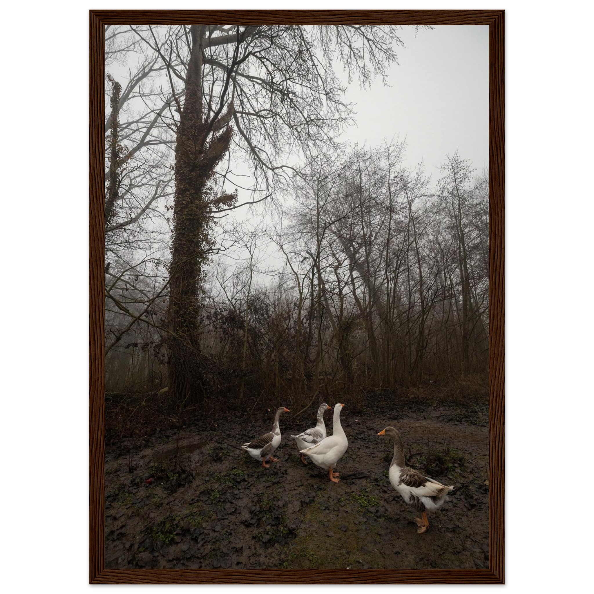 c8a24f97-94d5-4f1b-8881-22d29783417d