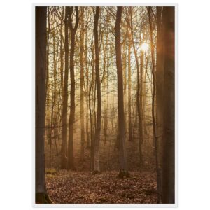 « Sous-bois » Poster qualité musée en papier mat encadré en bois