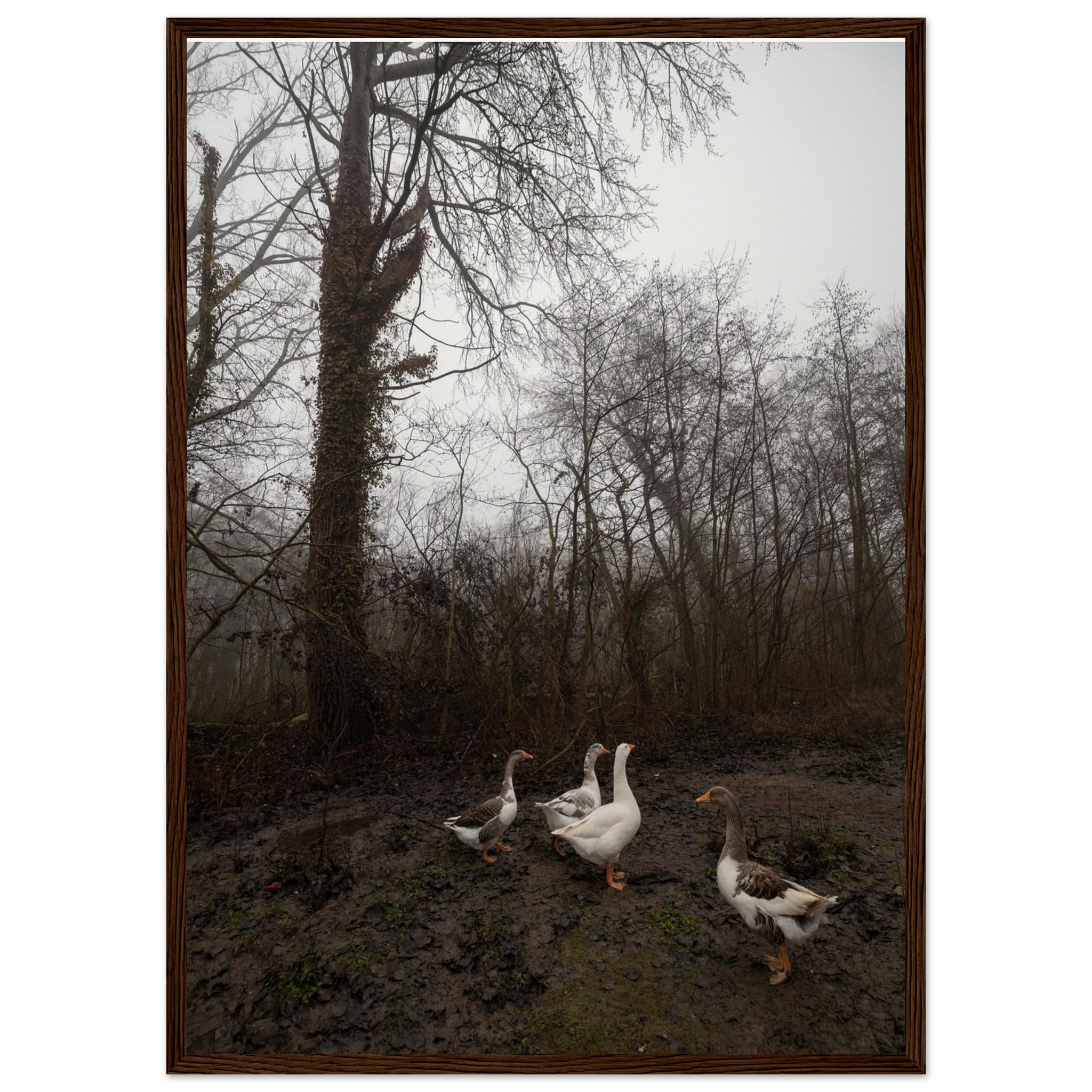 f3938f31-0c04-498d-8d53-619b63432815