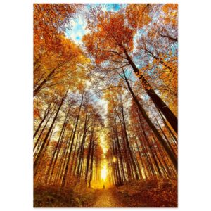 Poster Les Portes du Paradis