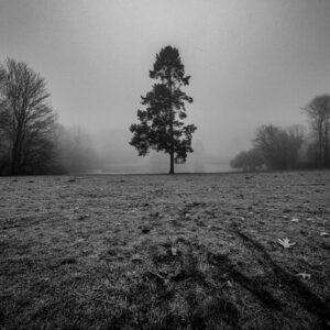 « Seul » Tirages numérotés et signés