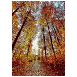 Poster Les portes du paradis